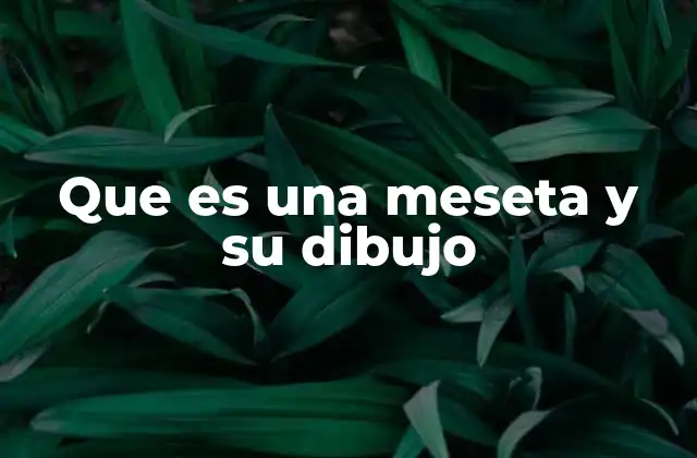 Que es una Meseta y Su Dibujo