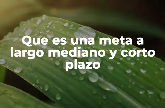 Que es una Meta a Largo Mediano y Corto Plazo