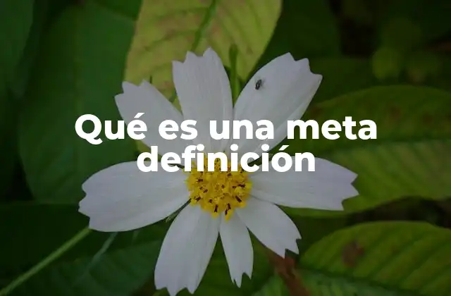 Qué es una Meta Definición