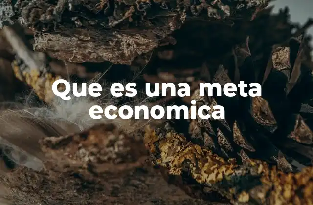 Que es una Meta Economica