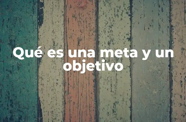Qué es una Meta y un Objetivo