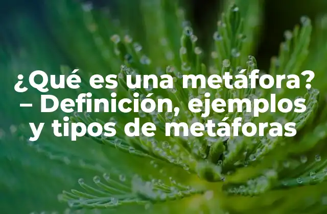 ¿qué es una Metáfora? – Definición, Ejemplos y Tipos de Metáforas