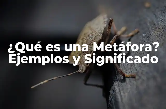 ¿qué es una Metáfora? Ejemplos y Significado
