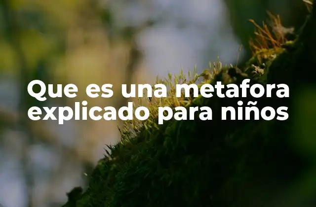 Que es una Metafora Explicado para Niños