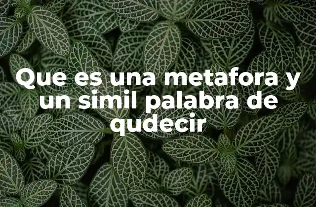 Que es una Metafora y un Simil Palabra de Qudecir