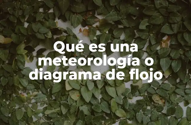 Qué es una Meteorología o Diagrama de Flojo