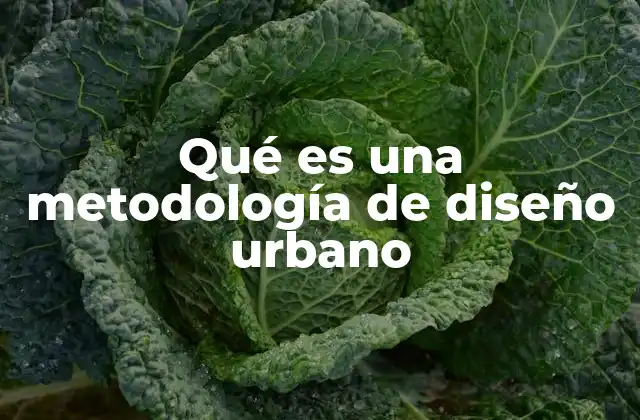 Qué es una Metodología de Diseño Urbano