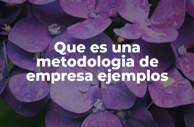 Que es una Metodologia de Empresa Ejemplos 2 Cómo las metodologías estructuran el trabajo empresarial