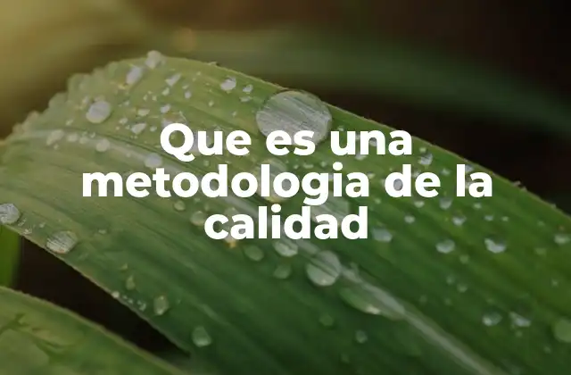 Que es una Metodologia de la Calidad