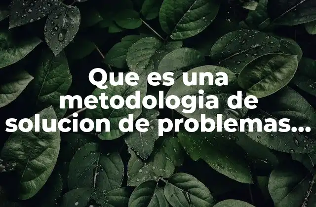 Que es una Metodologia de Solucion de Problemas en Informatica