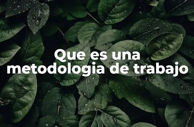 Que es una Metodologia de Trabajo