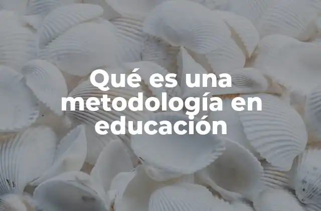 Qué es una Metodología en Educación