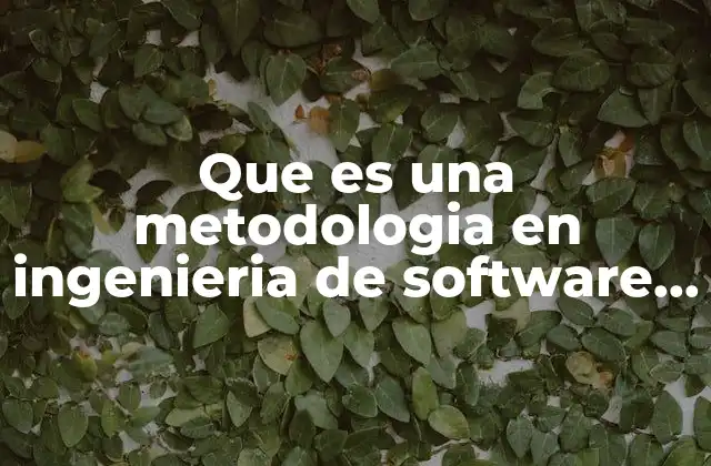 Que es una Metodologia en Ingenieria de Software de Libros