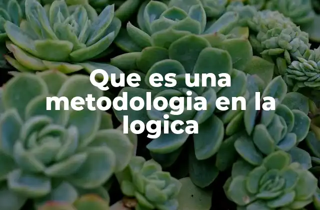 Que es una Metodologia en la Logica