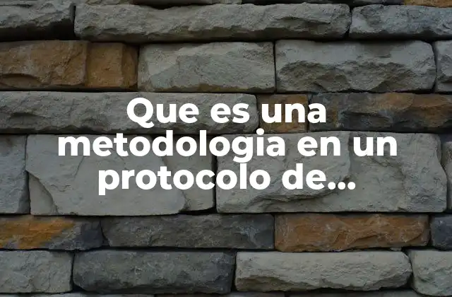 Que es una Metodologia en un Protocolo de Investigacion