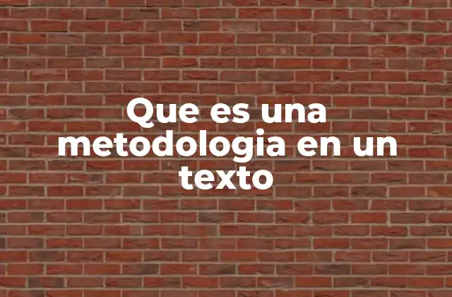 Que es una Metodologia en un Texto