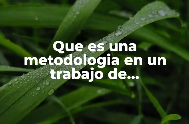 Que es una Metodologia en un Trabajo de Investigacion