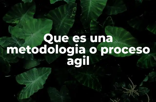Que es una Metodologia o Proceso Agil