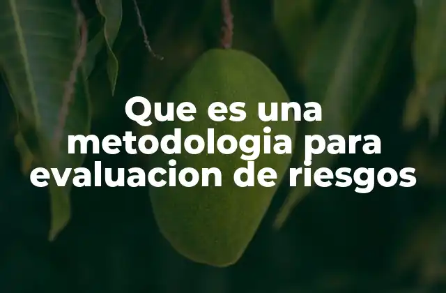 Que es una Metodologia para Evaluacion de Riesgos