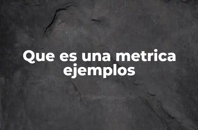 Que es una Metrica Ejemplos