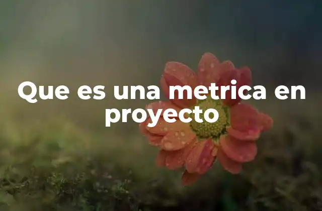 Que es una Metrica en Proyecto