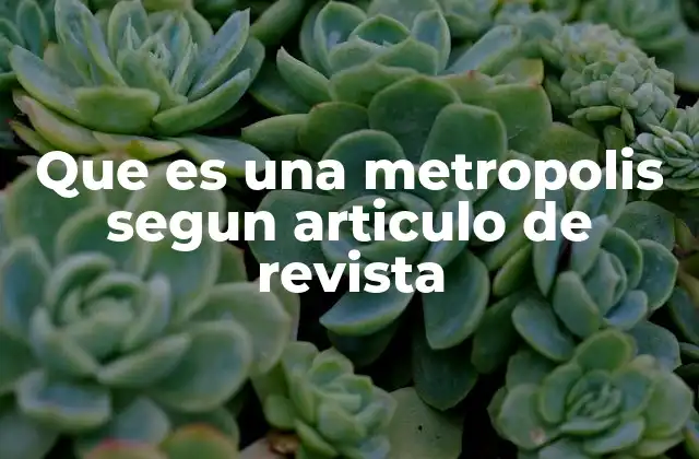 Que es una Metropolis Segun Articulo de Revista