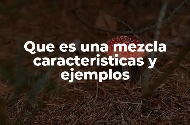 Que es una Mezcla Caracteristicas y Ejemplos