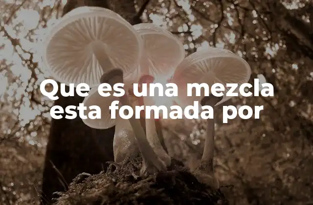 Que es una Mezcla Esta Formada por