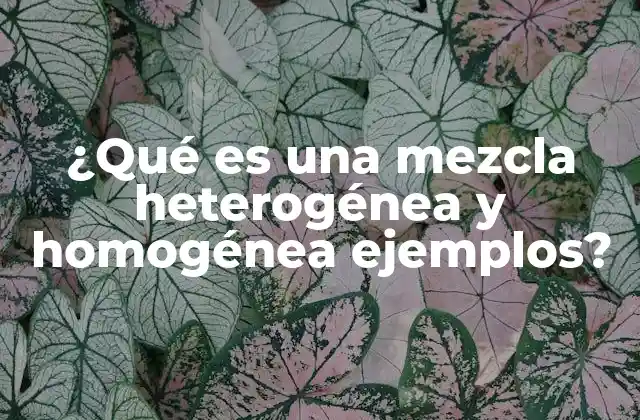¿qué es una Mezcla Heterogénea y Homogénea Ejemplos?