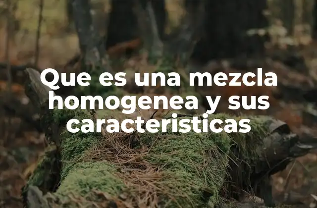 Que es una Mezcla Homogenea y Sus Caracteristicas
