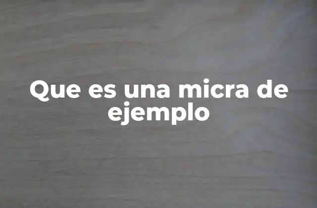 Que es una Micra de Ejemplo