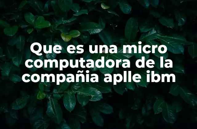 Que es una Micro Computadora de la Compañia Aplle Ibm