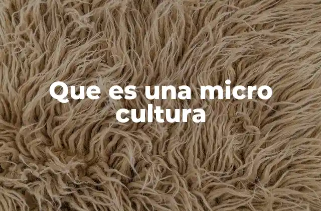 Que es una Micro Cultura