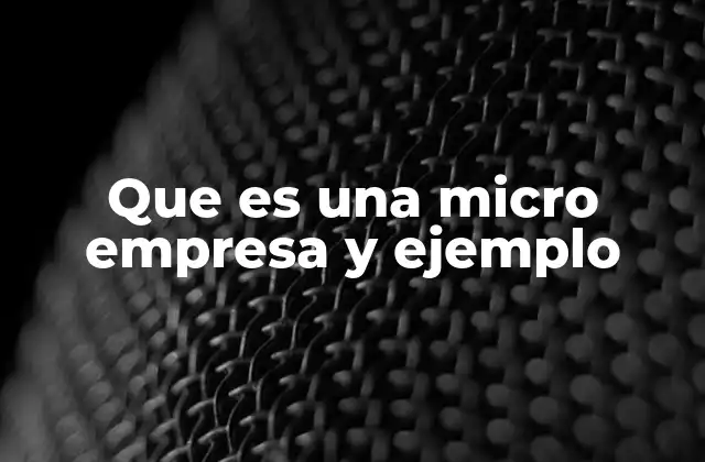 Que es una Micro Empresa y Ejemplo