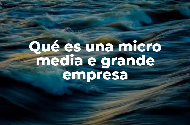 Qué es una Micro Media e Grande Empresa