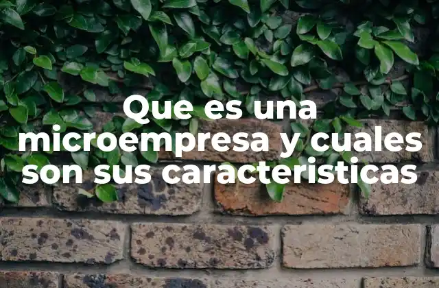 Que es una Microempresa y Cuales Son Sus Caracteristicas