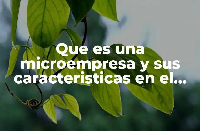 Que es una Microempresa y Sus Caracteristicas en el Peru