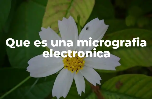 Que es una Micrografia Electronica