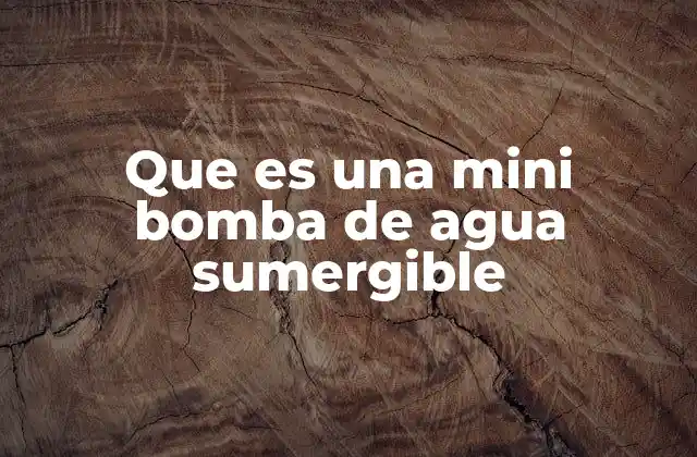 Que es una Mini Bomba de Agua Sumergible