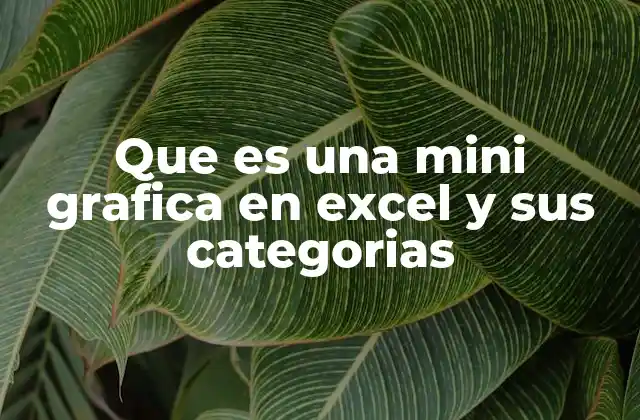 Que es una Mini Grafica en Excel y Sus Categorias