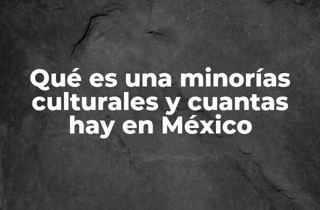 Qué es una Minorías Culturales y Cuantas Hay en México