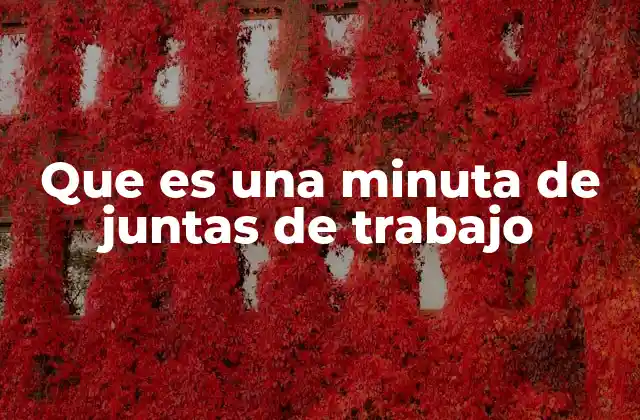 Que es una Minuta de Juntas de Trabajo