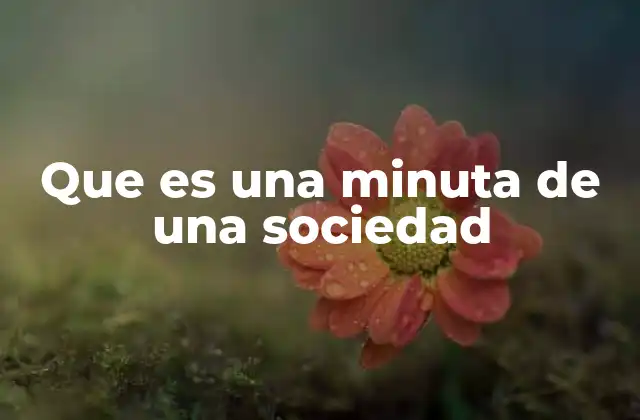 Que es una Minuta de una Sociedad