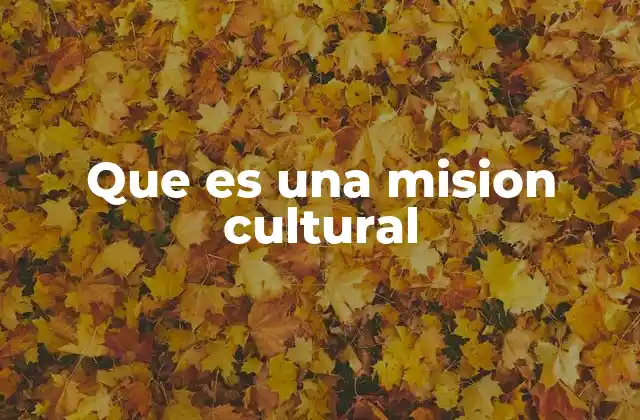 Que es una Mision Cultural