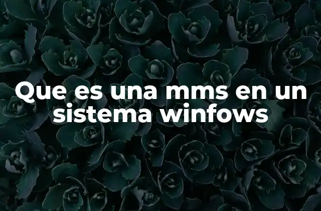 Que es una Mms en un Sistema Winfows