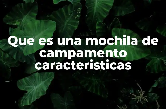 Que es una Mochila de Campamento Caracteristicas