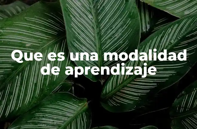 Que es una Modalidad de Aprendizaje