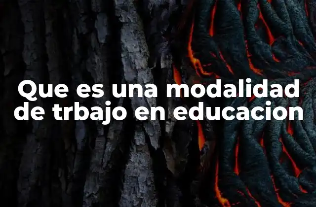 Formas en que se organiza la enseñanza