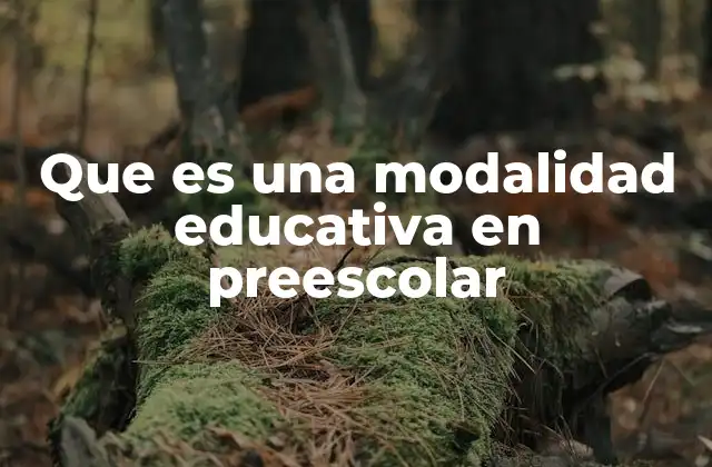 Que es una Modalidad Educativa en Preescolar