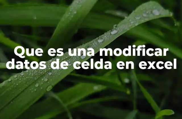 La importancia de la edición precisa en hojas de cálculo